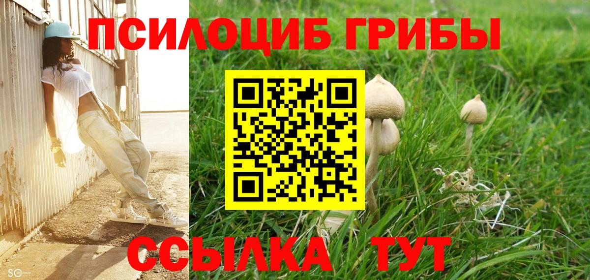 Галлюциногенные грибы Psilocybe Котельники